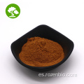 Extracto de hongo chaga natural de alta calidad